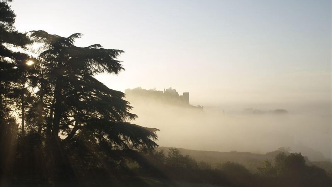 Photo of Others in Chinon
