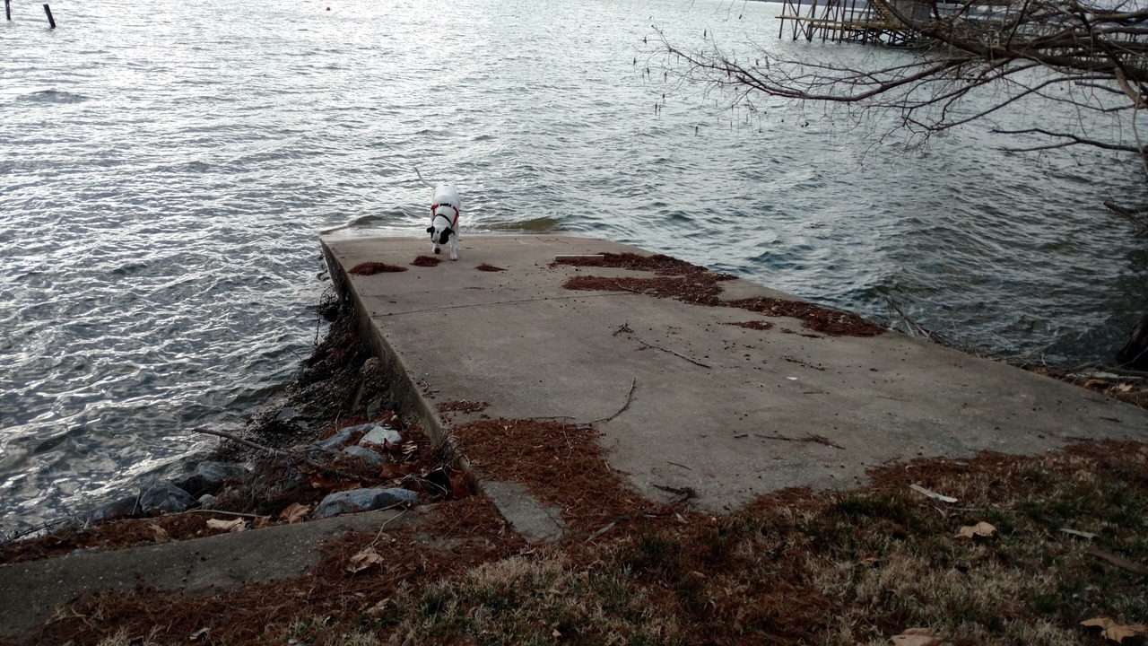 Photo of Others in Horseshoe Lake