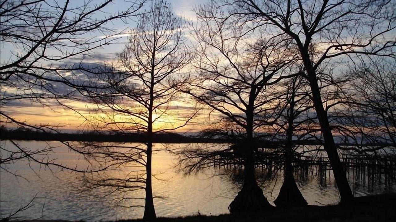 Photo of Others in Horseshoe Lake