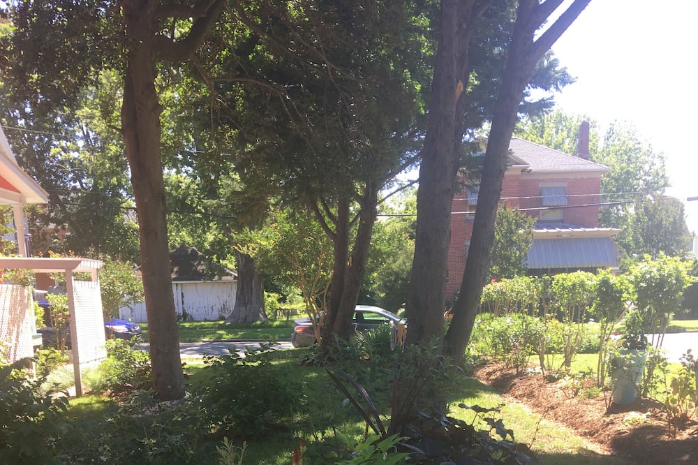 Photo of Others in Cape Charles