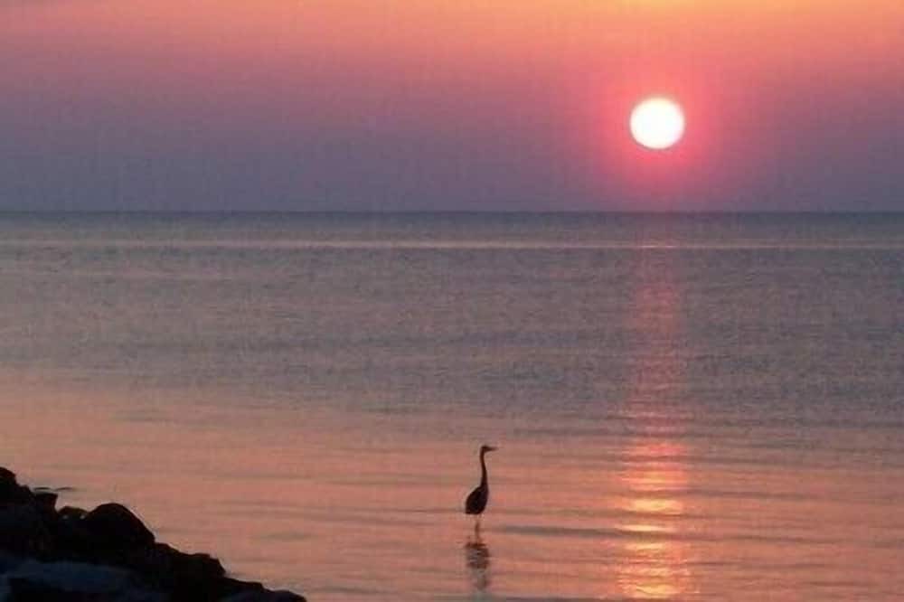 Photo of Others in Cape Charles