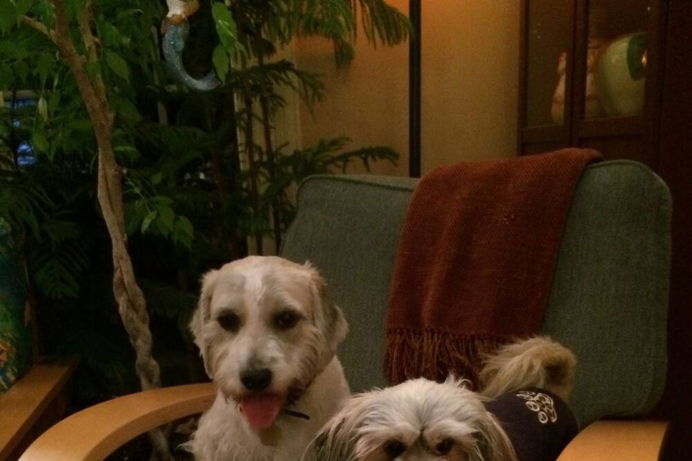 Photo of Others in Cape Charles