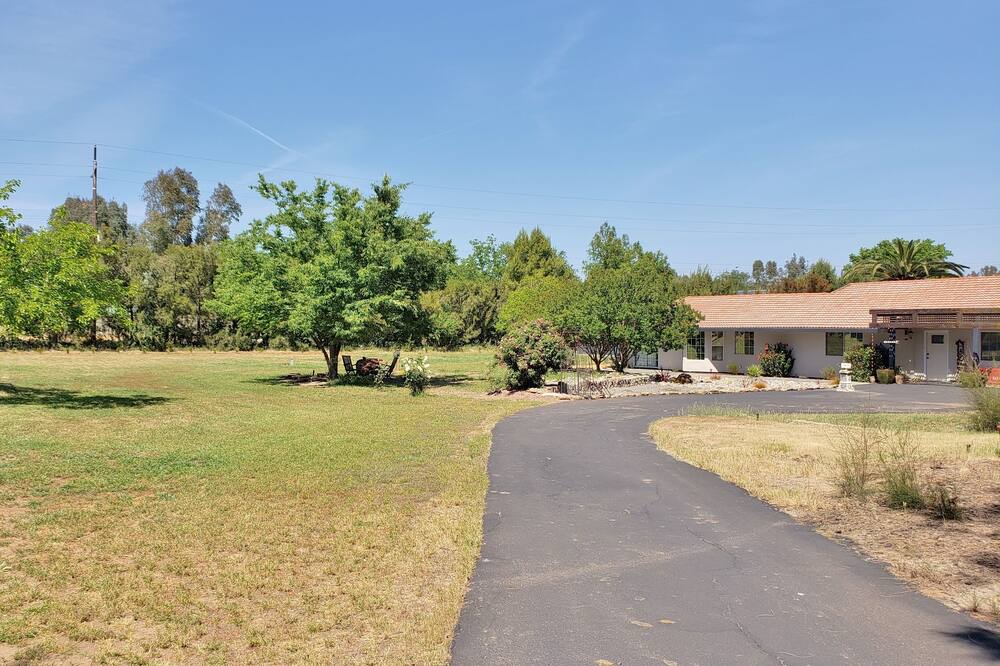Photo of Outdoor in Woodland