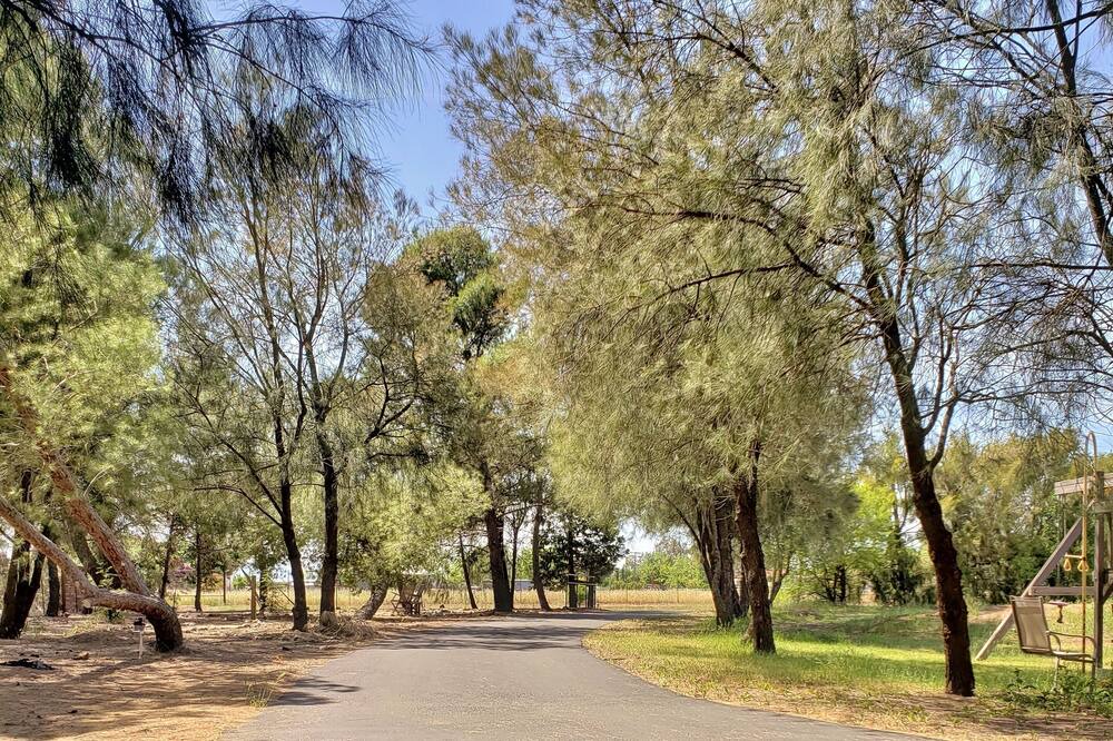 Photo of Outdoor in Woodland