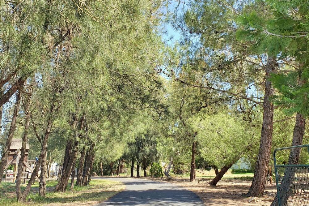 Photo of Outdoor in Woodland