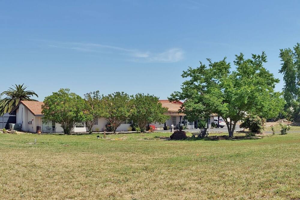 Photo of Outdoor in Woodland