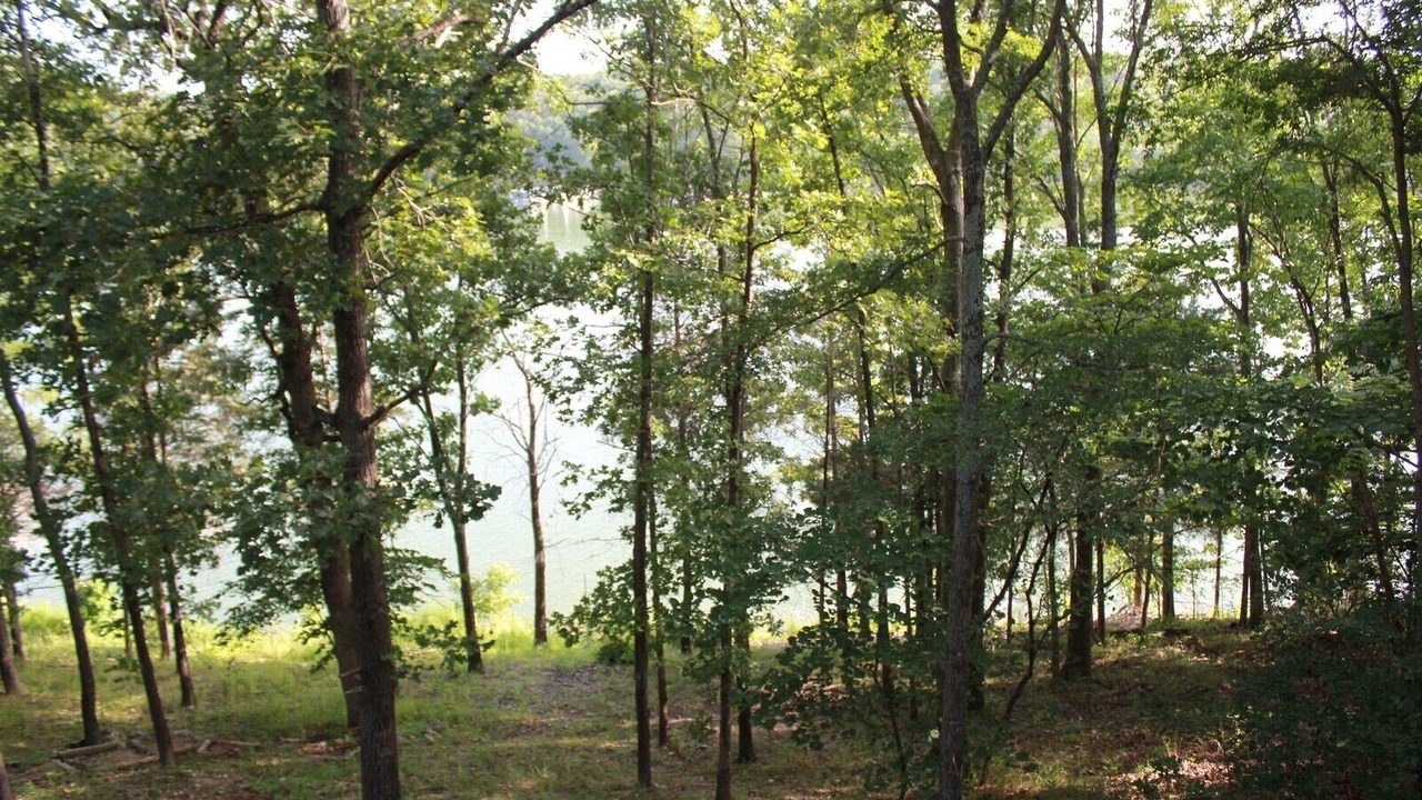 Photo of Outdoor in Arrow Point