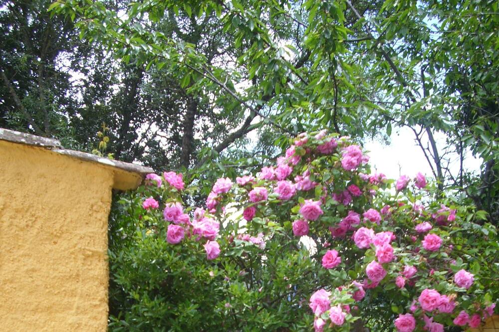 Photo of Outdoor in Carlencas-et-Levas