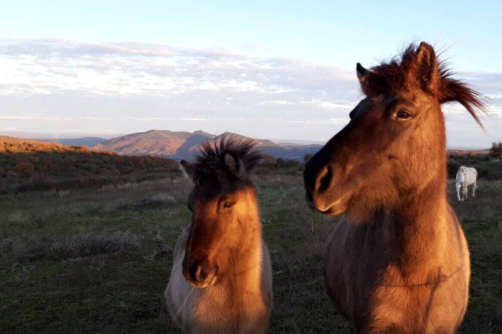Photo of Others in Carlencas-et-Levas