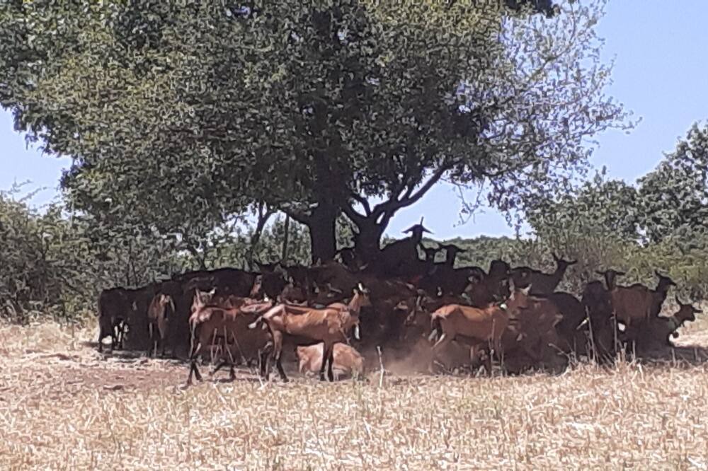Photo of Outdoor in Carlencas-et-Levas