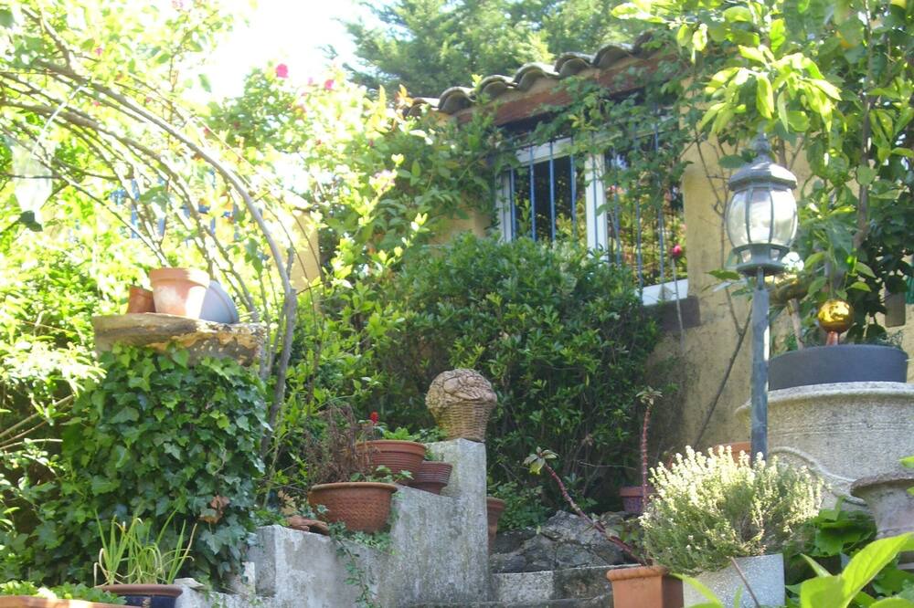 Photo of Outdoor in Carlencas-et-Levas