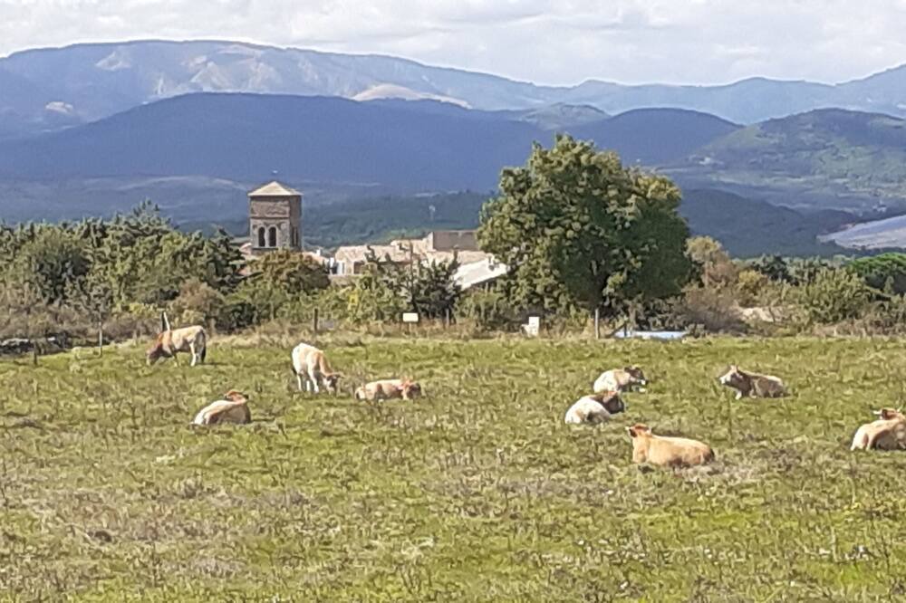 Photo of Outdoor in Carlencas-et-Levas