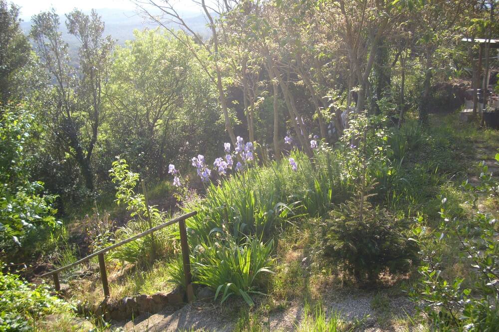 Photo of Outdoor in Carlencas-et-Levas