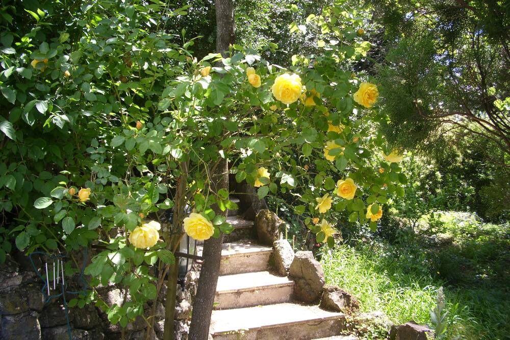 Photo of Outdoor in Carlencas-et-Levas