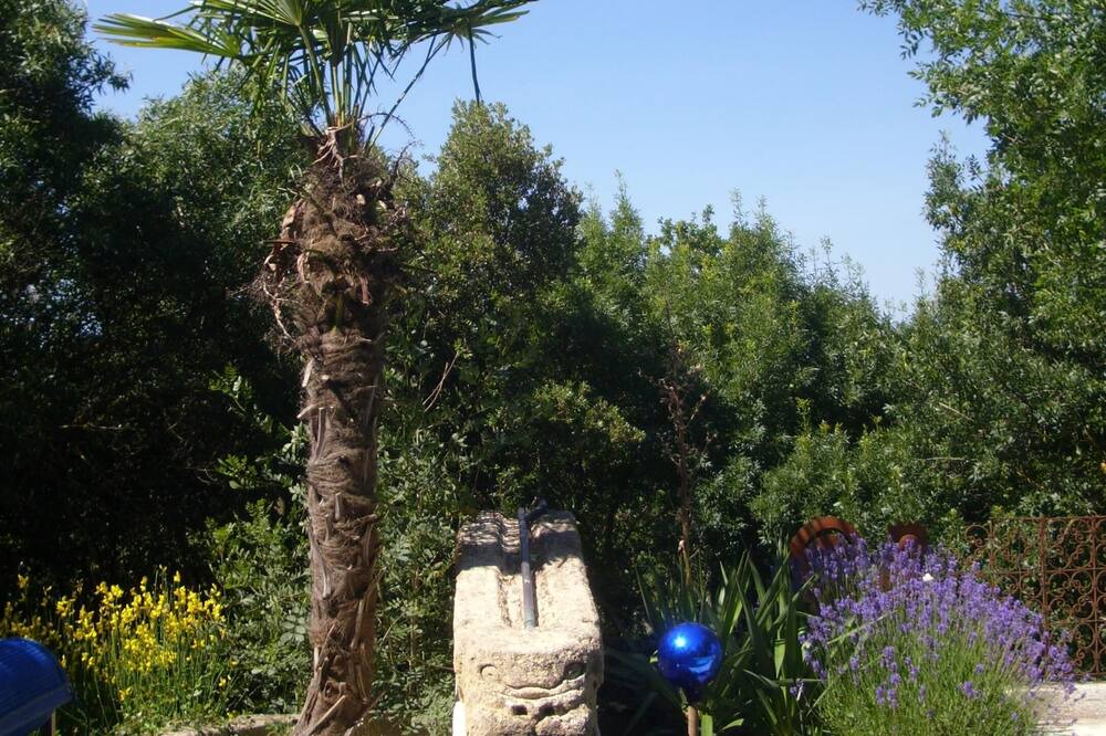 Photo of Outdoor in Carlencas-et-Levas