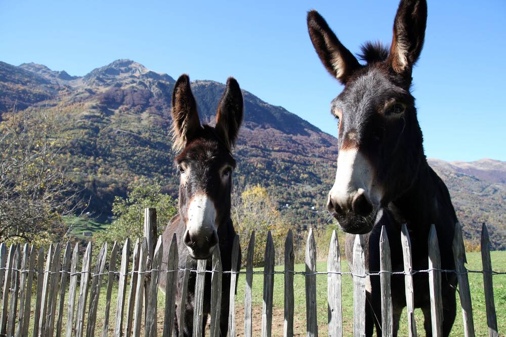 Photo of Others in Luz-Saint-Sauveur