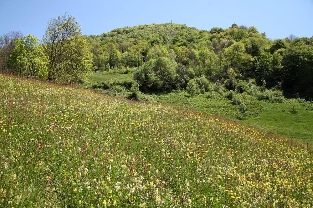 Photo of Outdoor in Luz-Saint-Sauveur