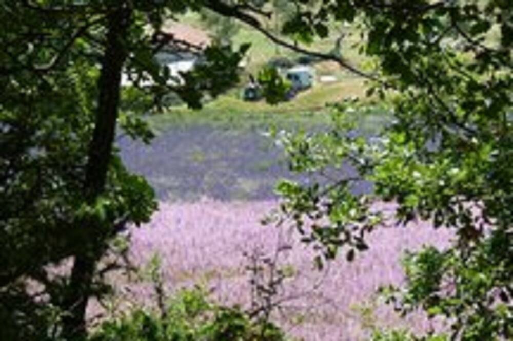 Photo of Outdoor in L'Hospitalet