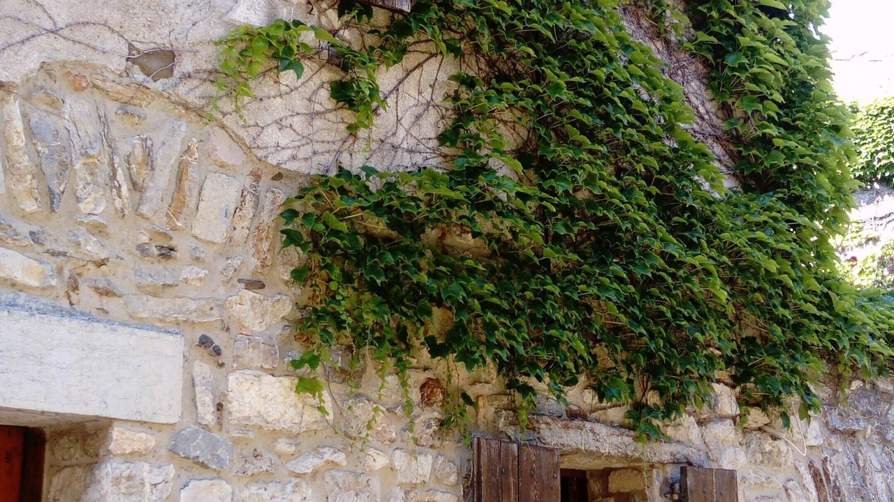 Photo of Outdoor in Cascastel-des-Corbieres