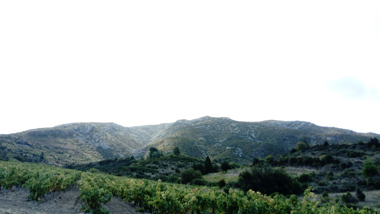Photo of Others in Cascastel-des-Corbieres