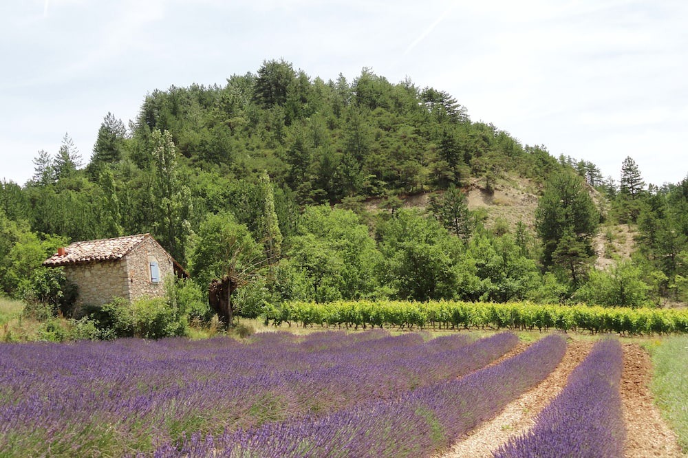 Photo of Outdoor in Marignac-en-Diois