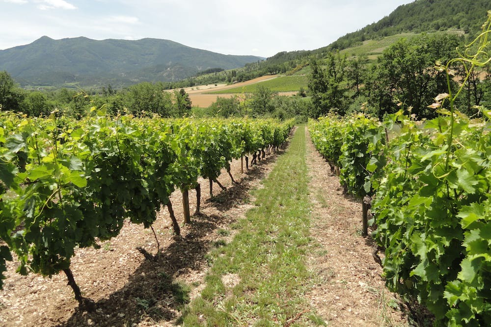 Photo of Outdoor in Marignac-en-Diois