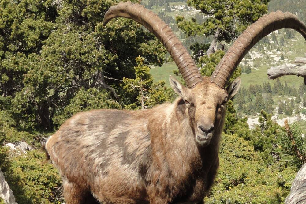 Photo of Outdoor in Marignac-en-Diois