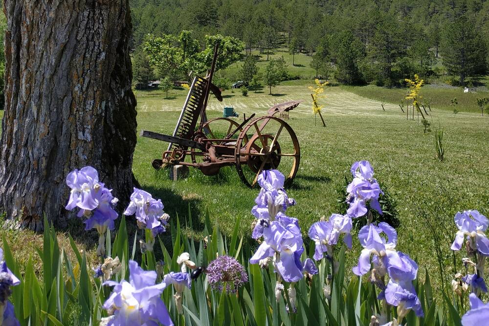 Photo of Outdoor in Marignac-en-Diois