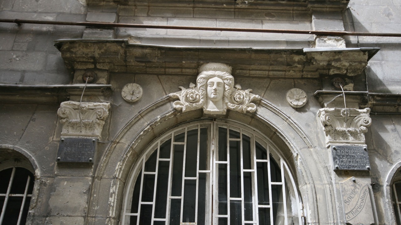 Photo of Outdoor in Graslin - Commerce