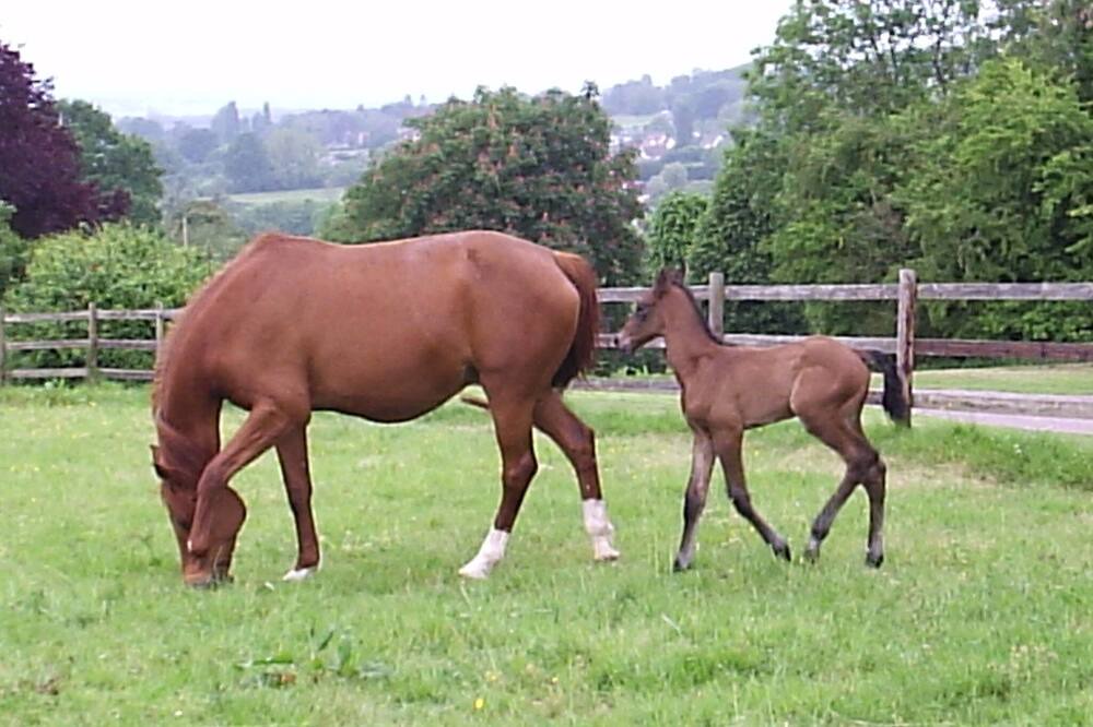 Photo of Outdoor in Coudray-Rabut