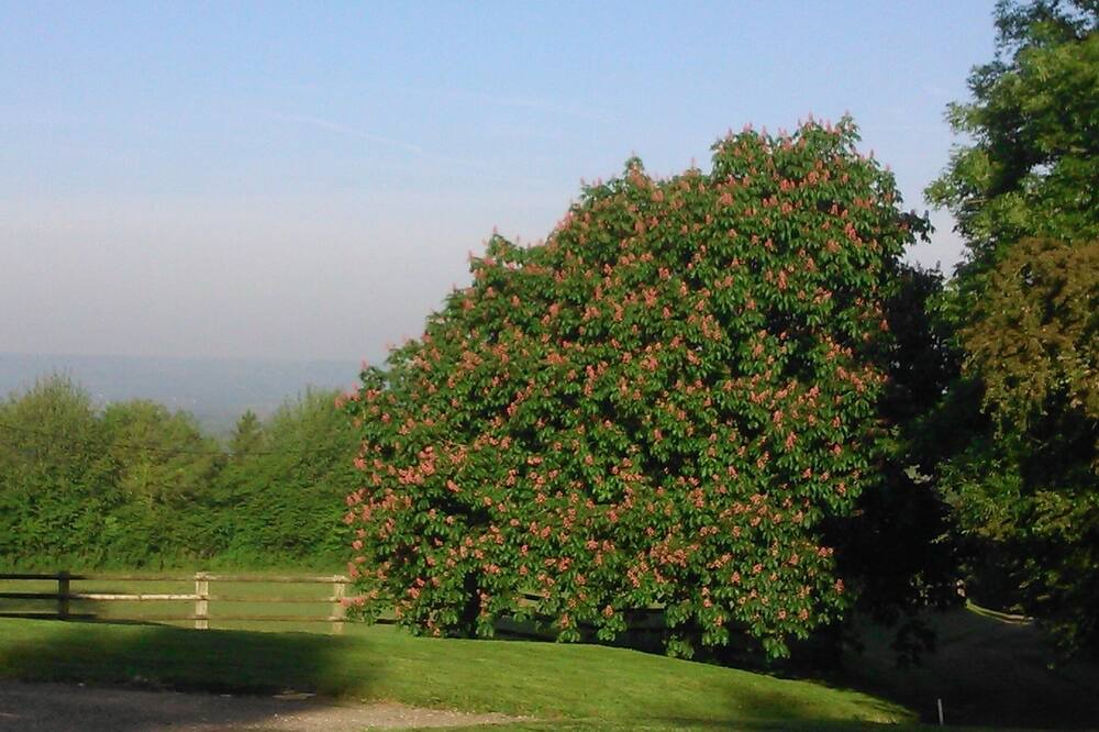 Photo of Outdoor in Coudray-Rabut