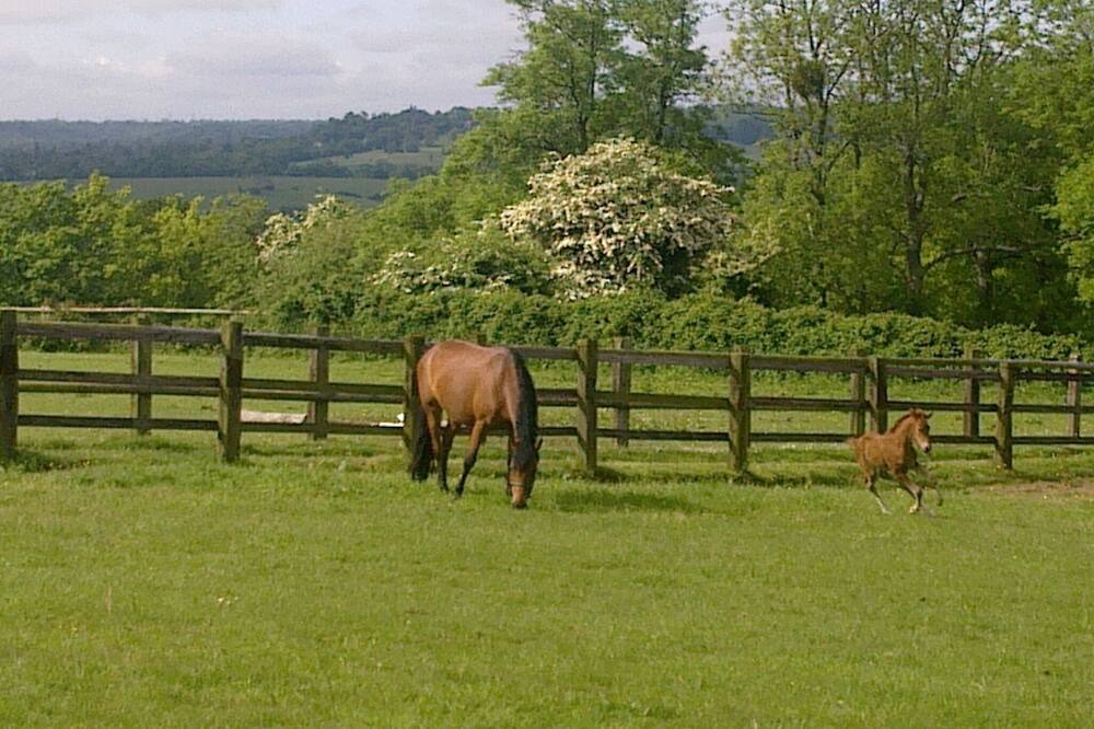 Photo of Outdoor in Coudray-Rabut