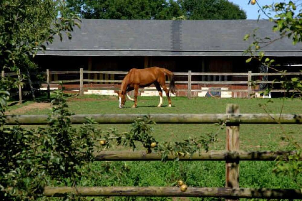 Photo of Outdoor in Coudray-Rabut
