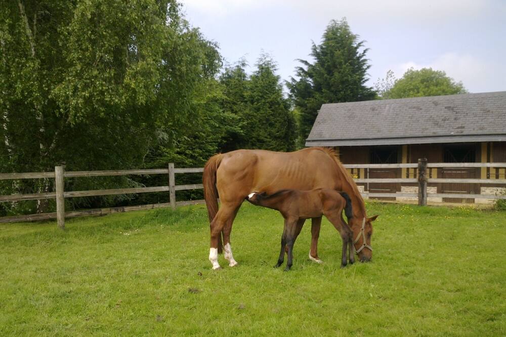 Photo of Outdoor in Coudray-Rabut