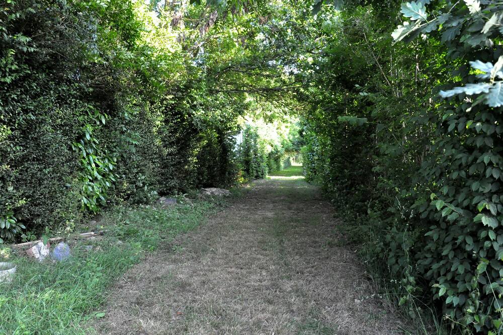 Photo of Outdoor in Segre