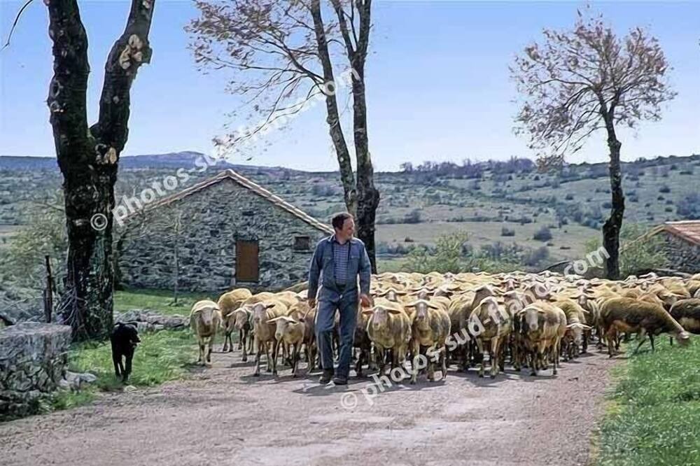 Photo of Others in Saint-Rome-de-Tarn