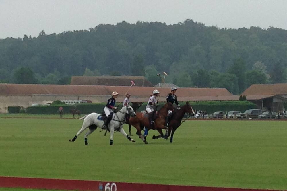 Photo of Others in Apremont
