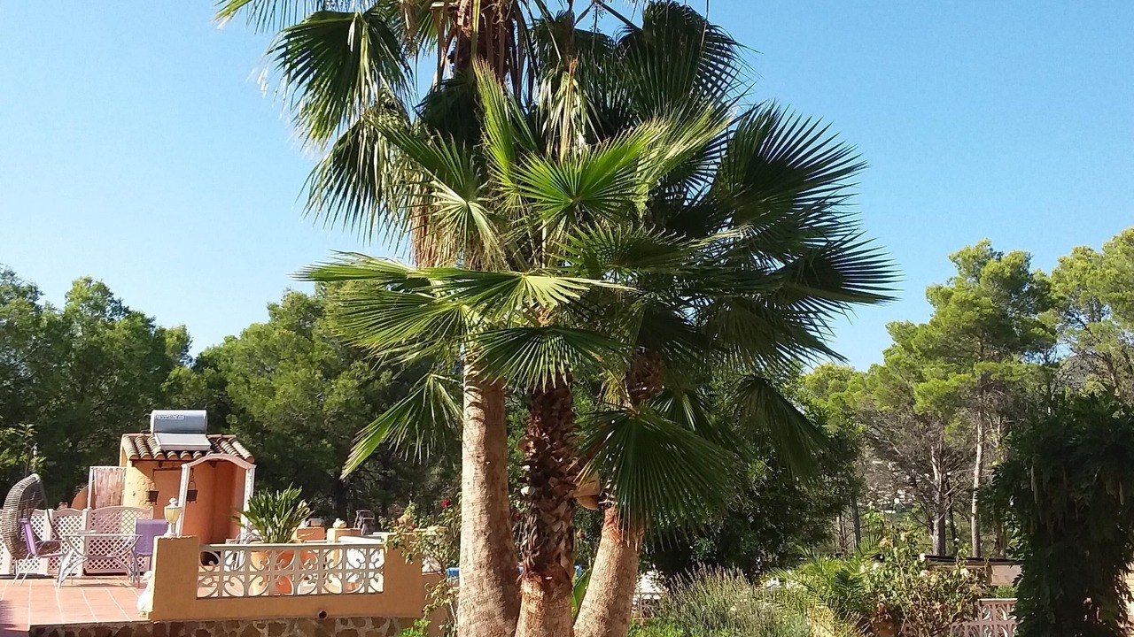 Photo of Outdoor in Jalon