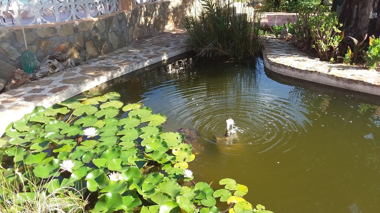 Photo of Outdoor in Jalon
