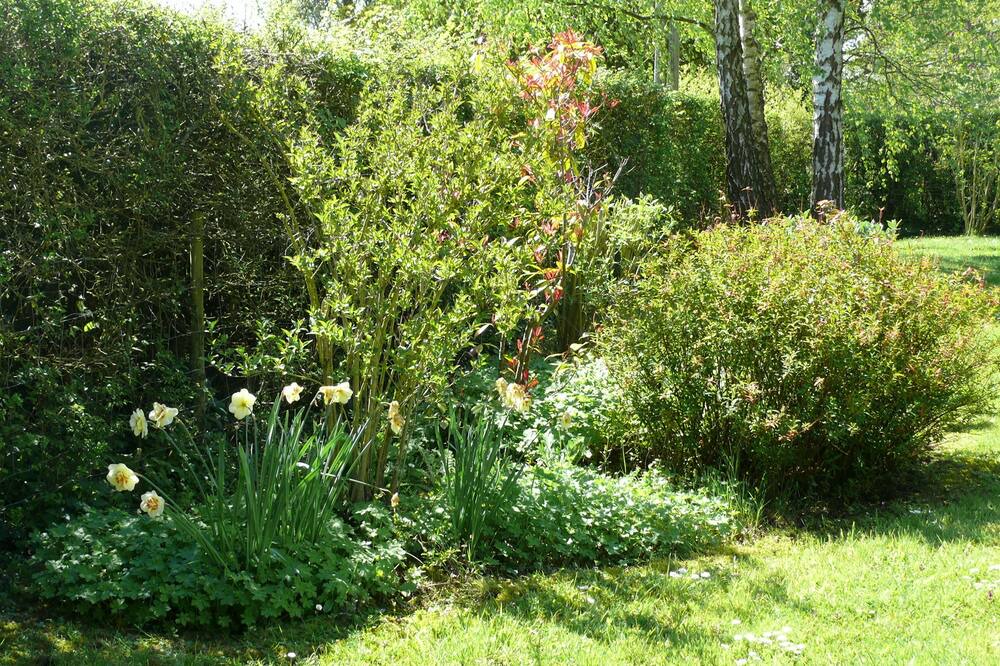 Photo of Outdoor in Vaudeloges