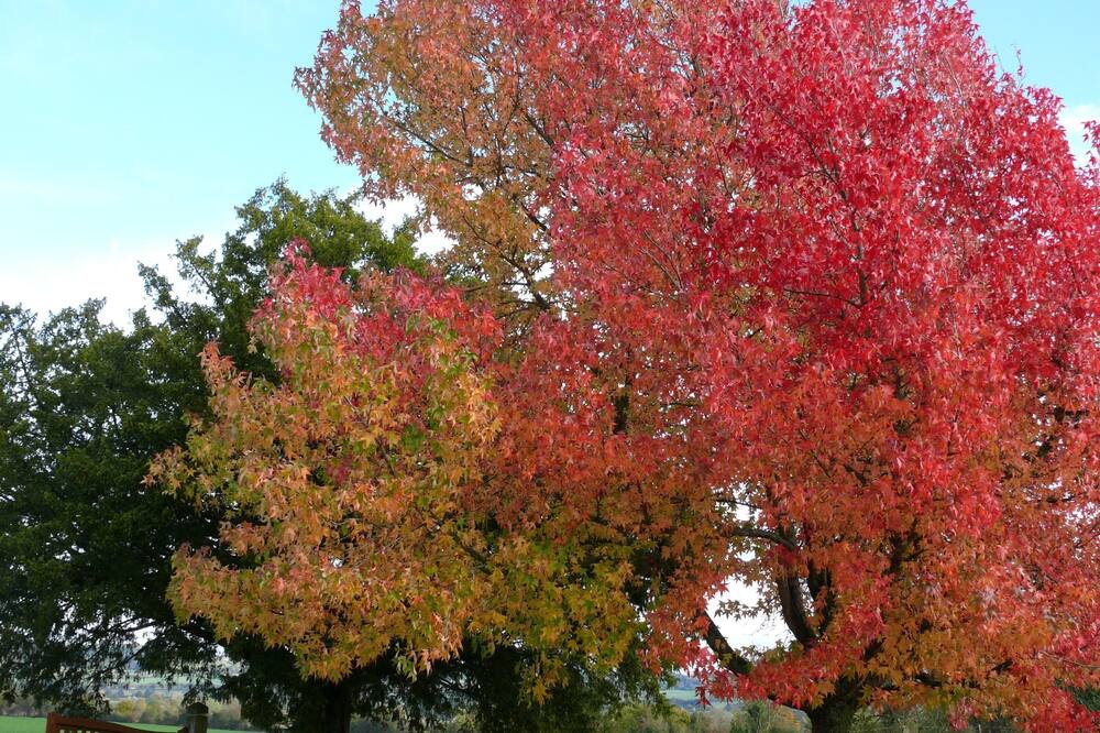 Photo of Outdoor in Vaudeloges