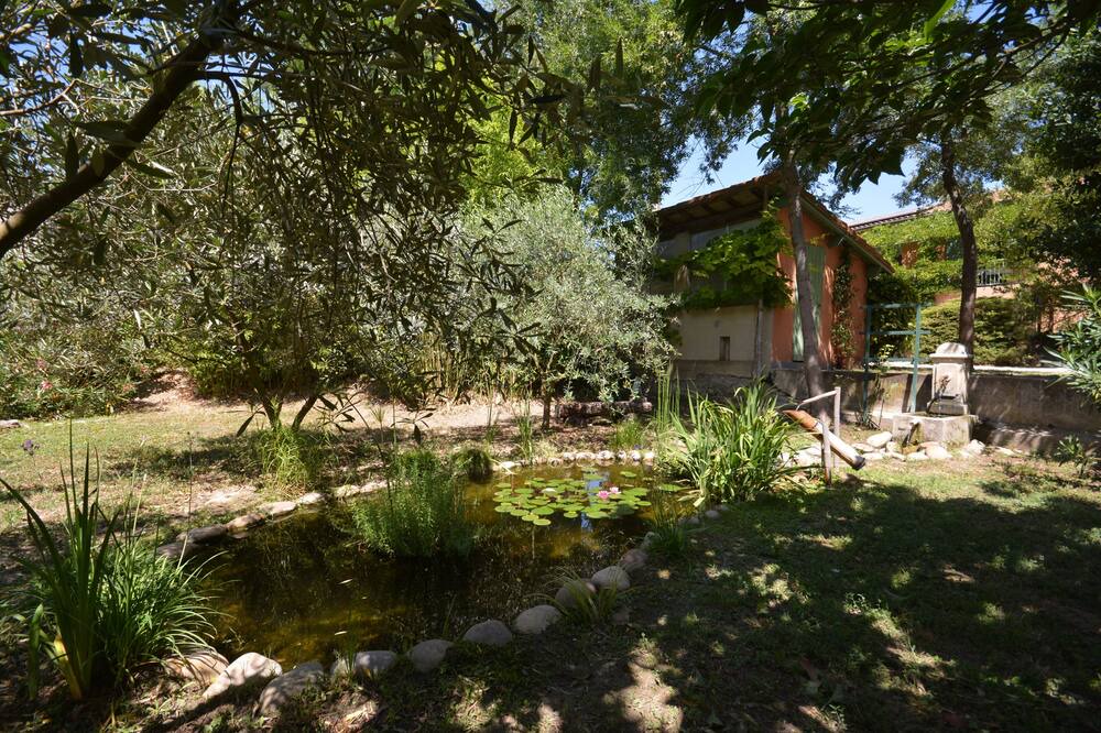 Photo of Outdoor in Avignon