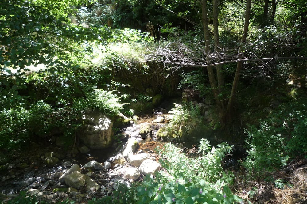 Photo of Outdoor in Meyrueis