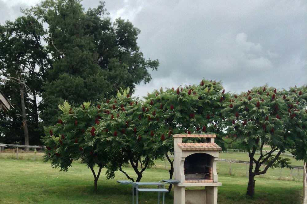 Photo of Outdoor in Bourgougnague