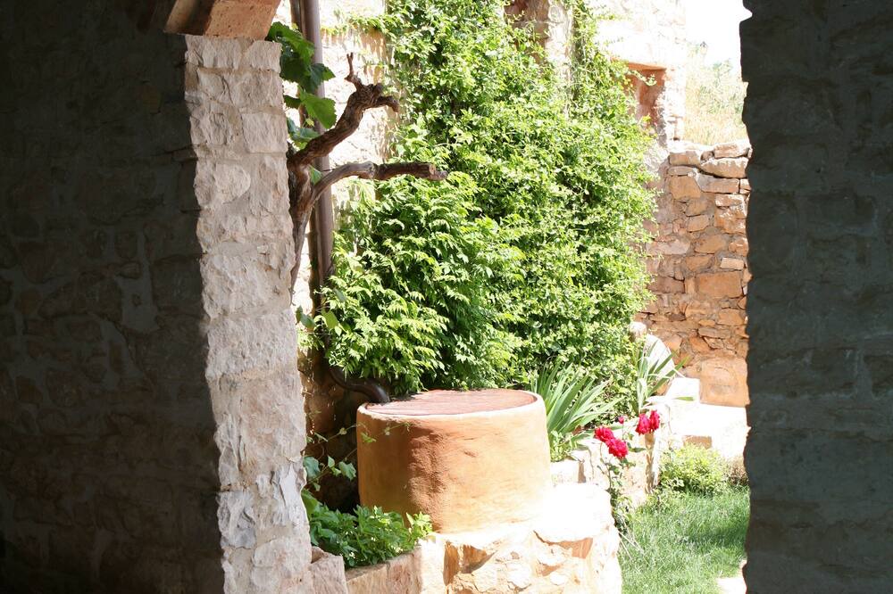 Photo of Outdoor in Rocallaura
