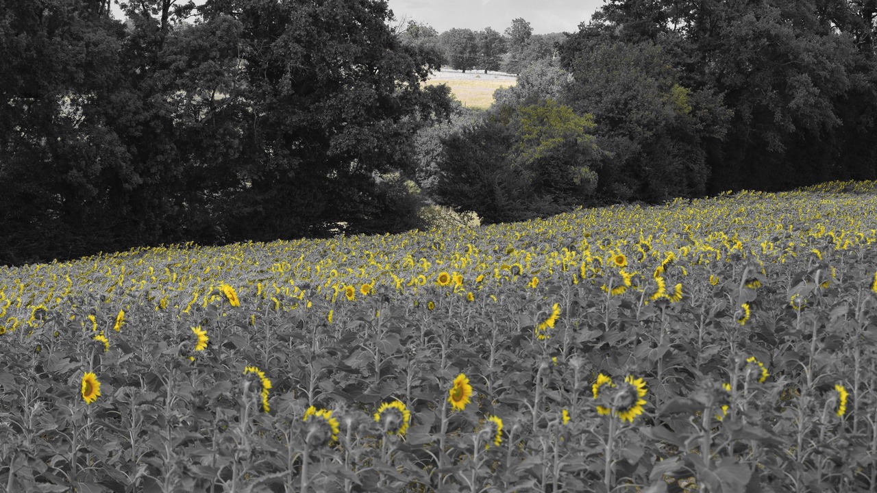 Photo of Outdoor in Pleuville