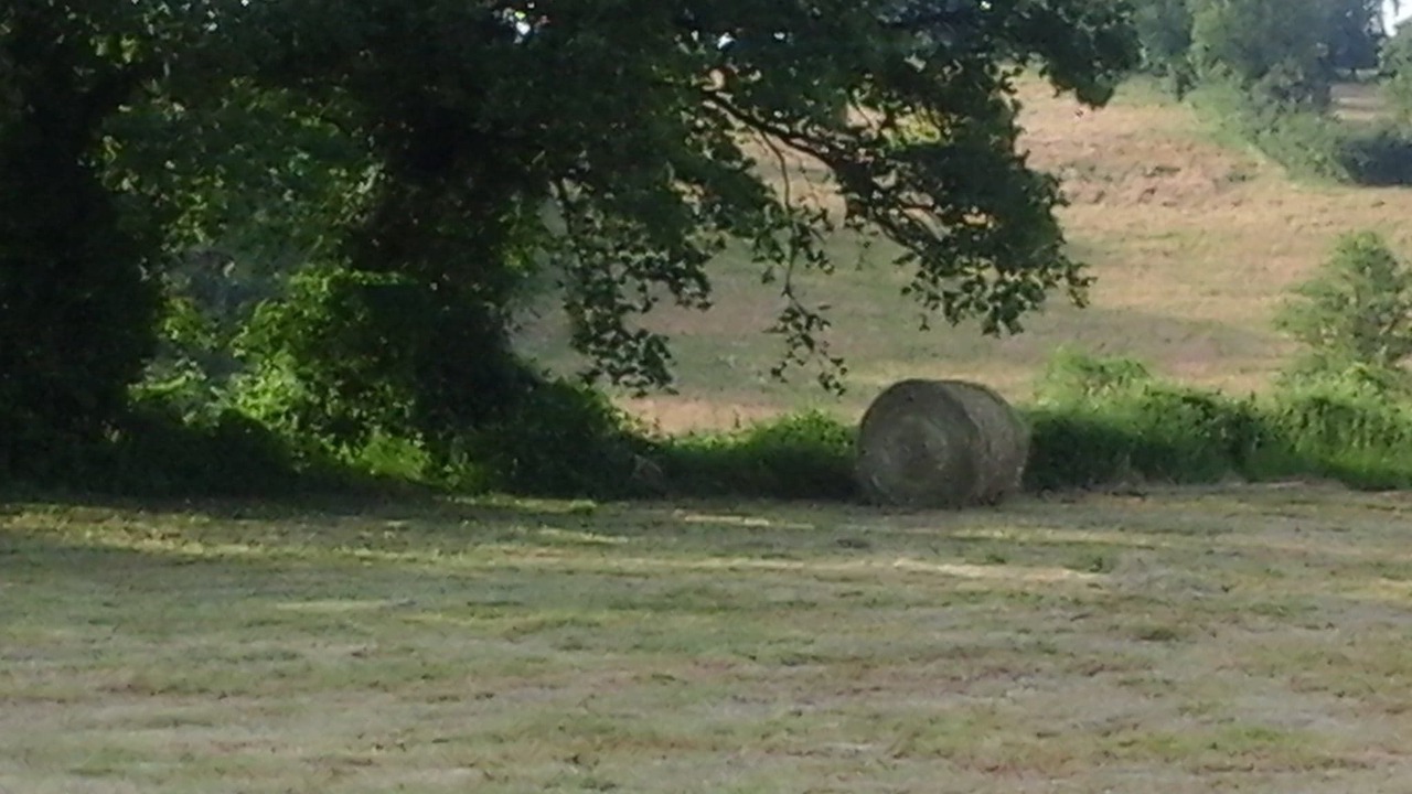 Photo of Others in Pleuville