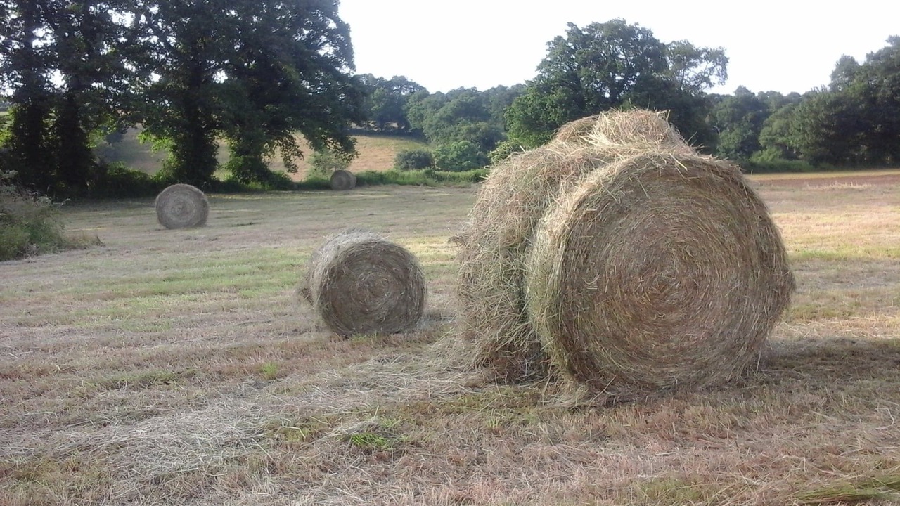 Photo of Outdoor in Pleuville