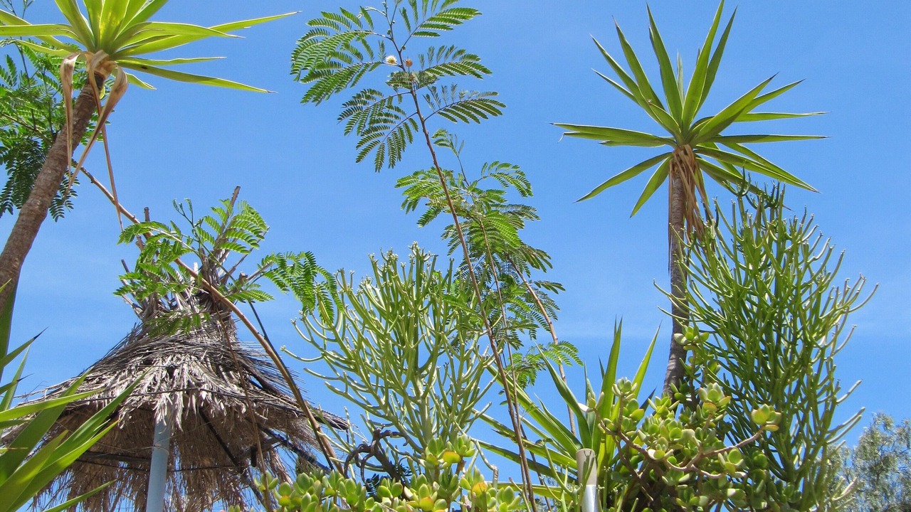Photo of Outdoor in Mutxamel