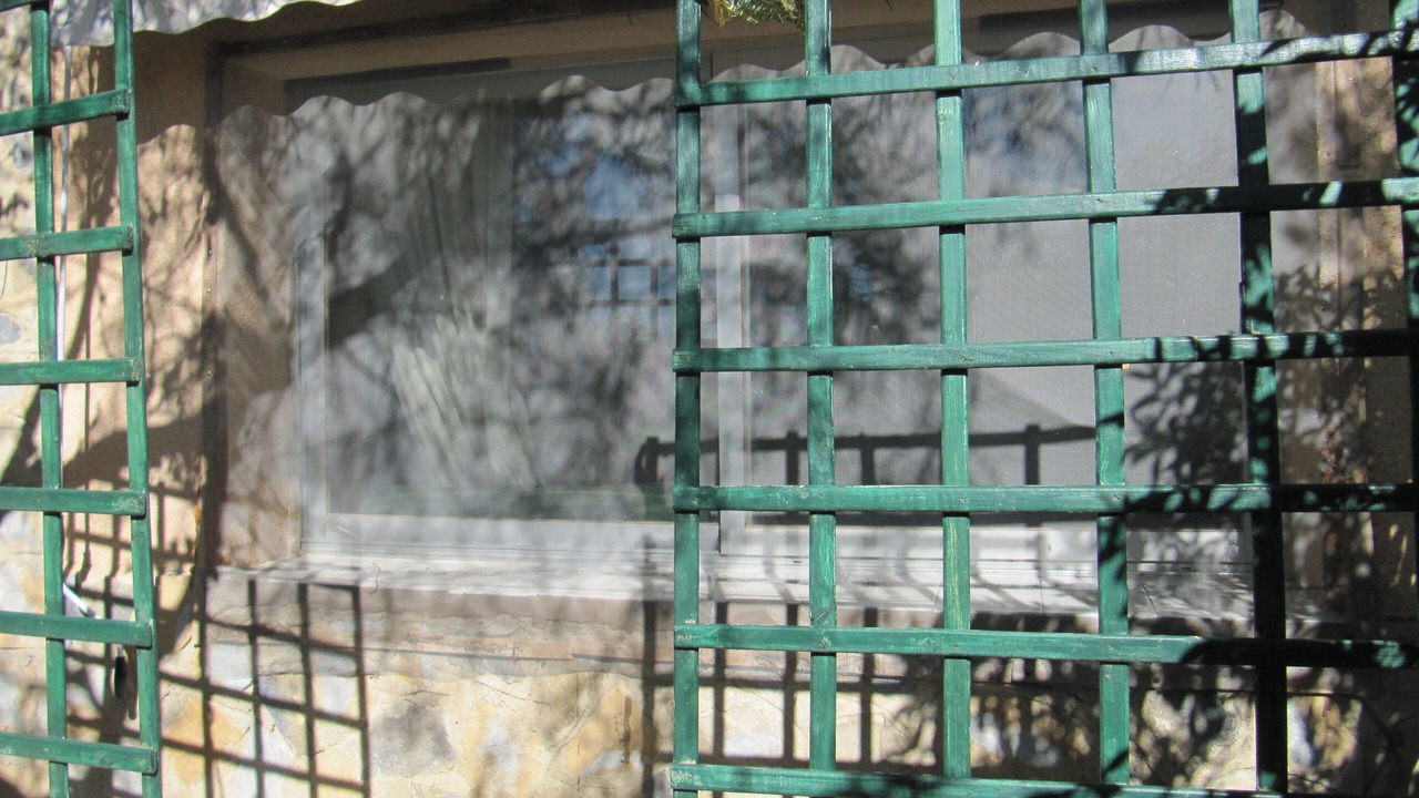 Photo of Outdoor in Mutxamel